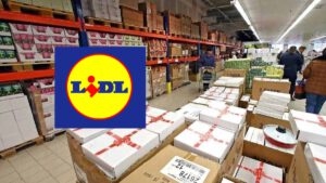 Lidl en danger, l’enseigne discount Russe « Mere » bientôt en France  petits prix, qualité… on vous dit tout